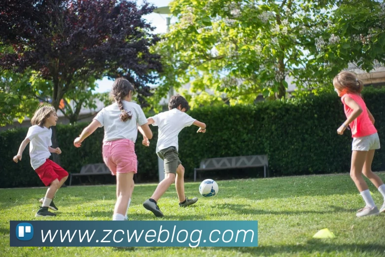 中超买球服务体系