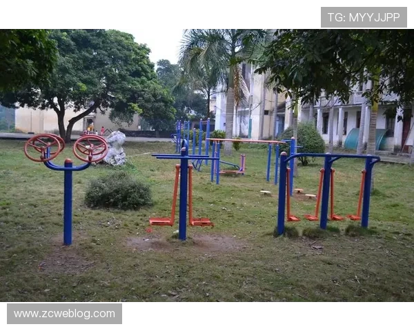 户外健身器材名称图片与适用场景介绍